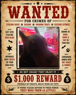 Wanted Dog Poster!