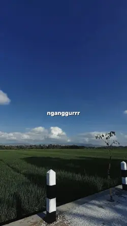 nganggurrr, Boke 