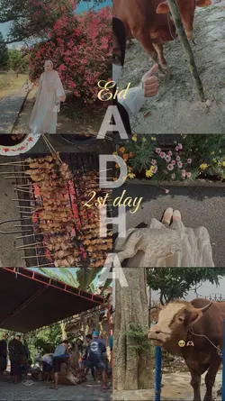 Day 2 eid adha
