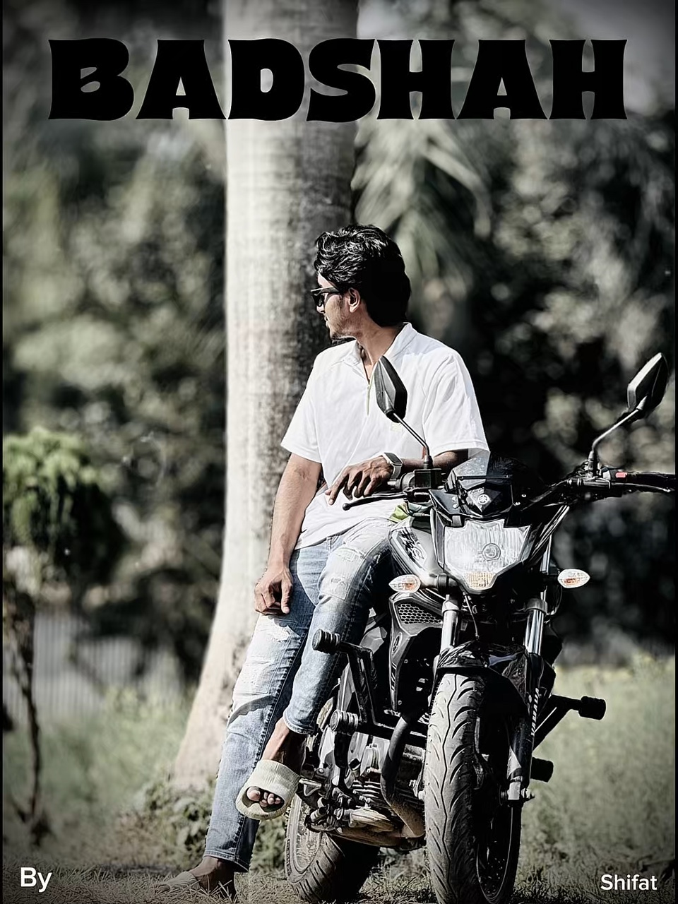 Cover Picture