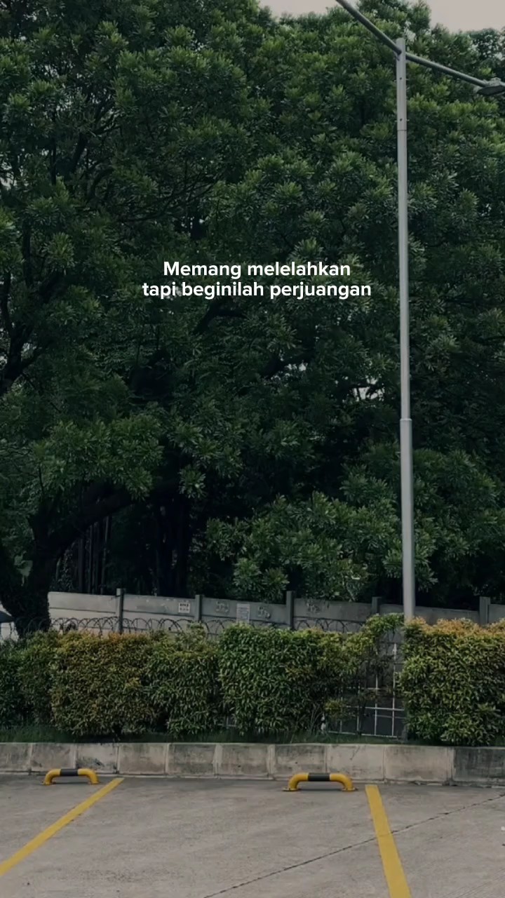 바한 sw
