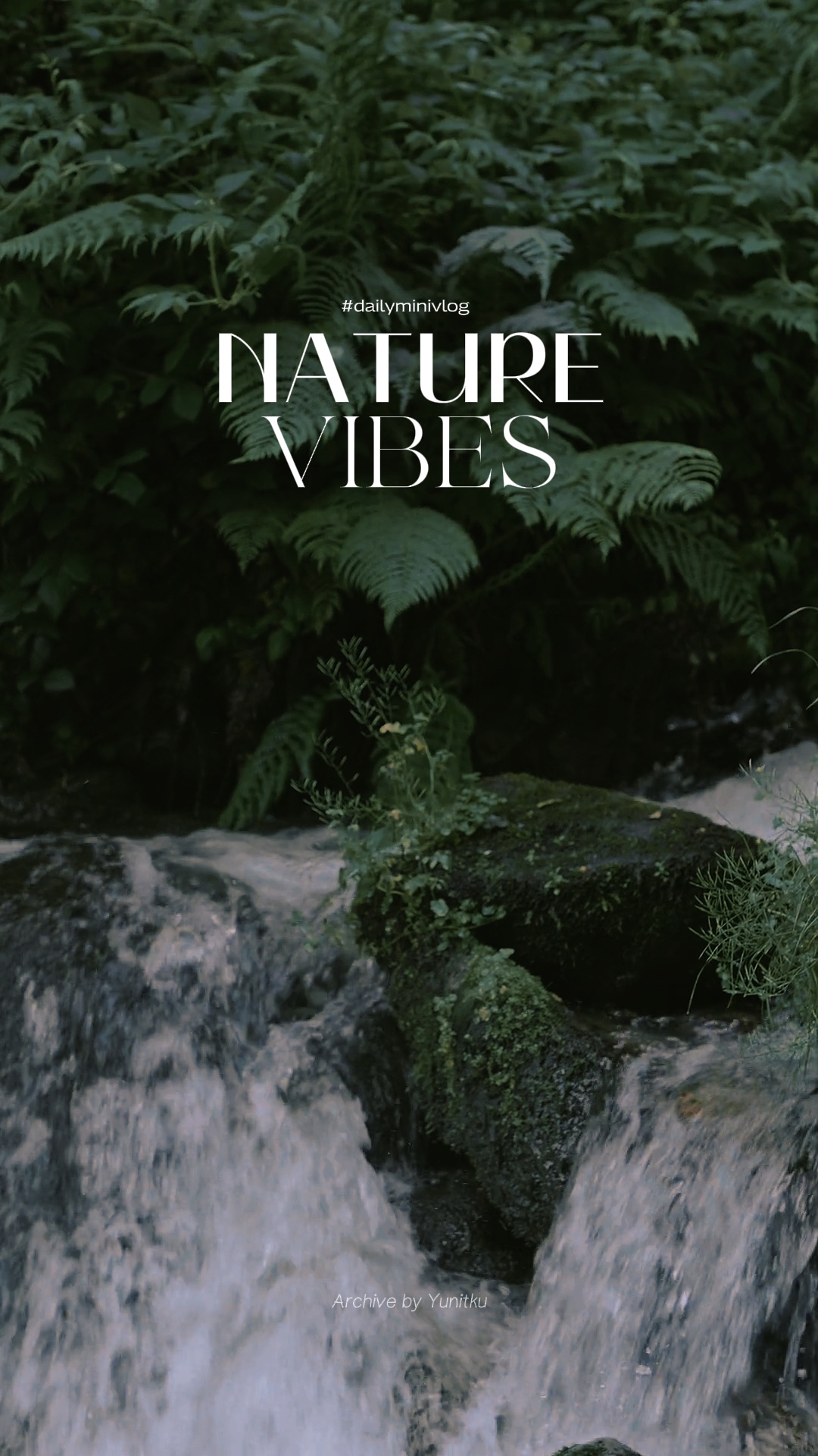 Vibras de la naturaleza