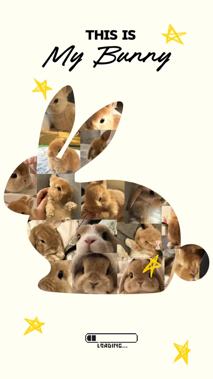 C'est mon lapin 