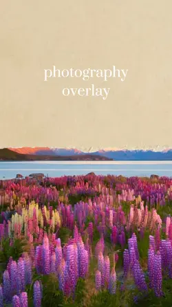 photography overlay 