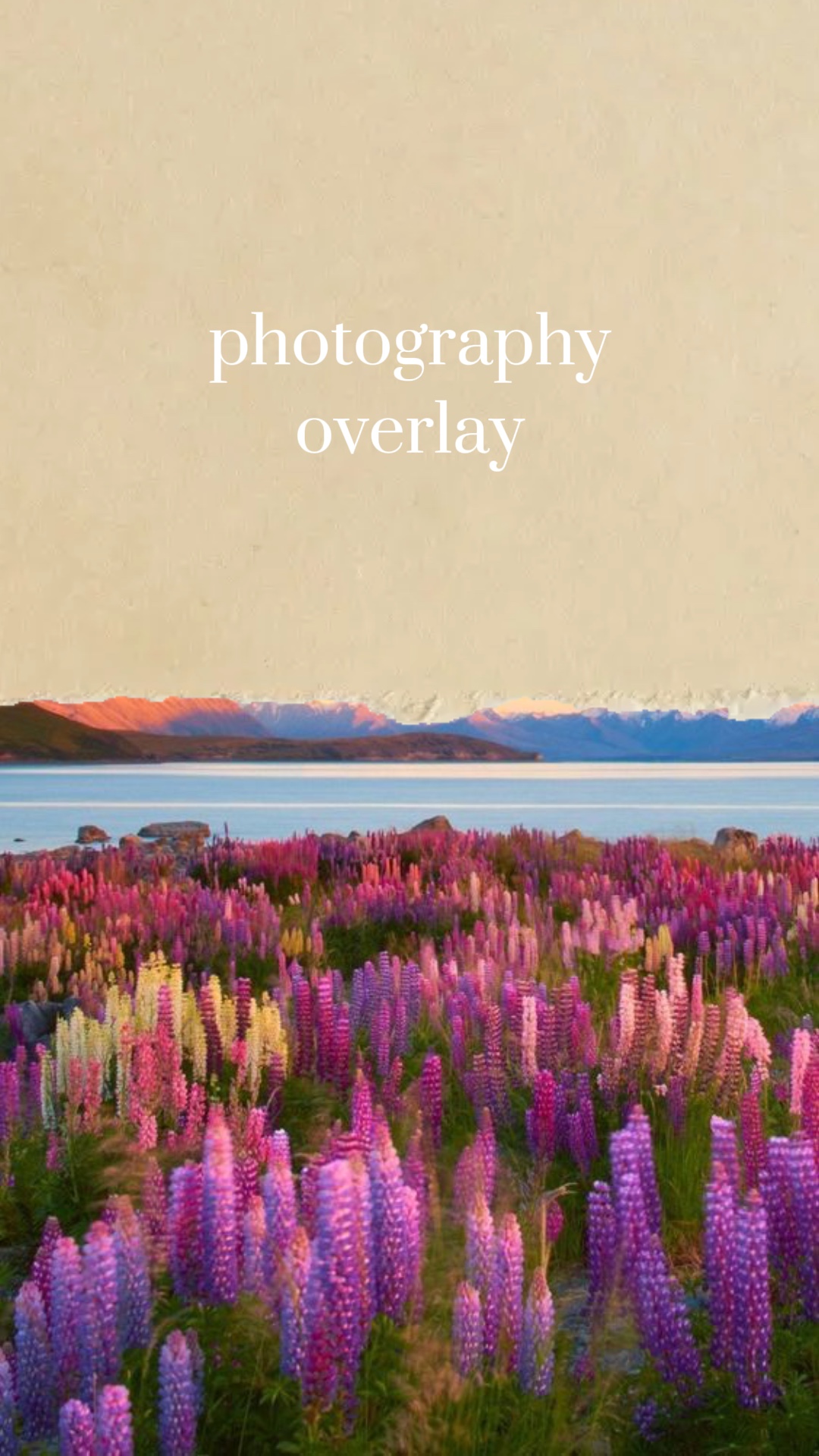 photography overlay 