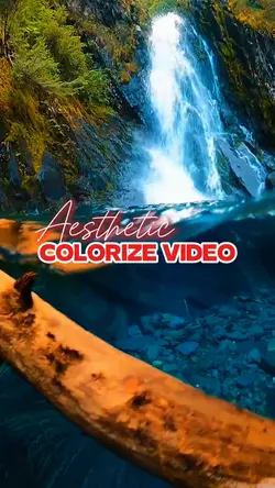 colorize 
