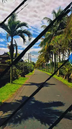 LAGU BALI 