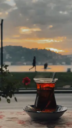 Turkish song's