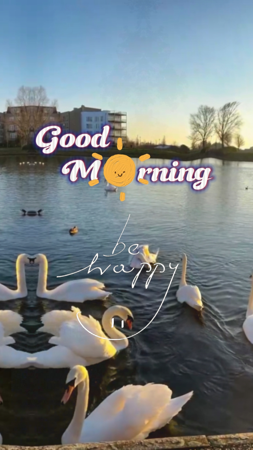 Bom Dia