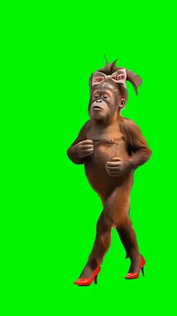 Monkey in Heels 