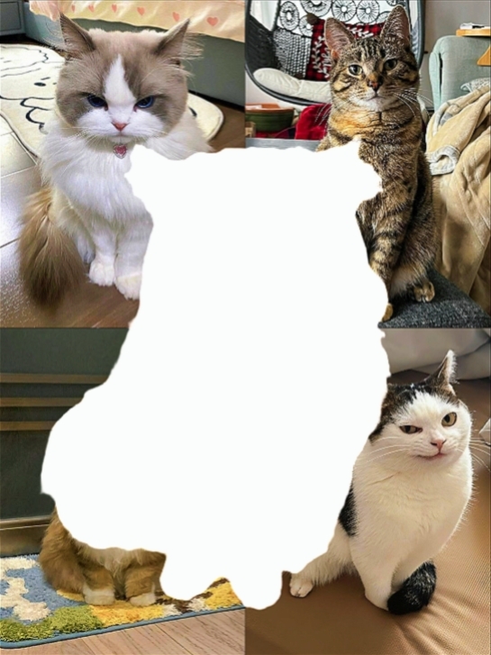 Montagem Oscurida