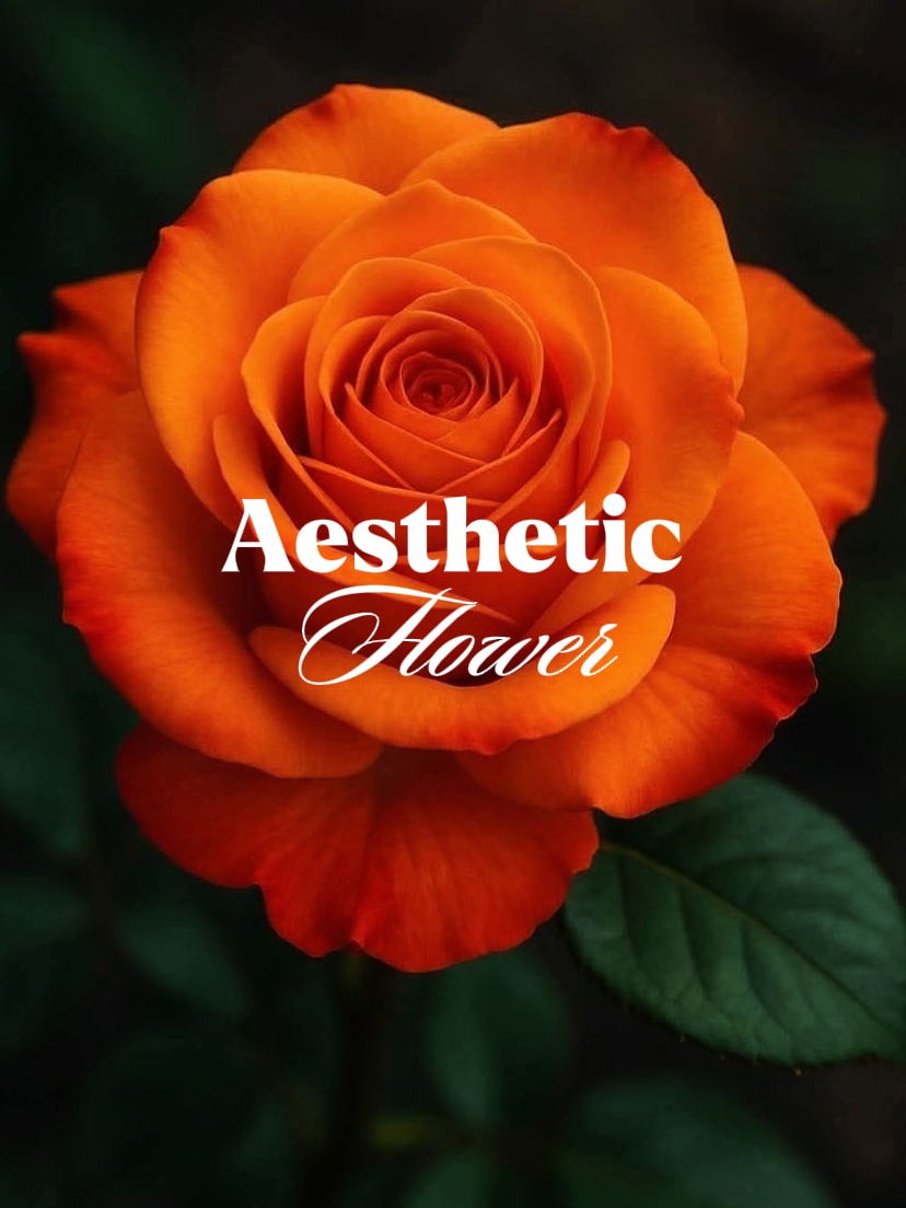 Flor Estética