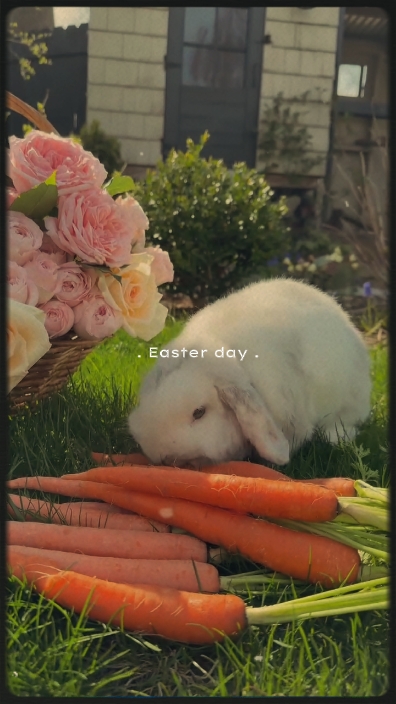 Frohe Ostern