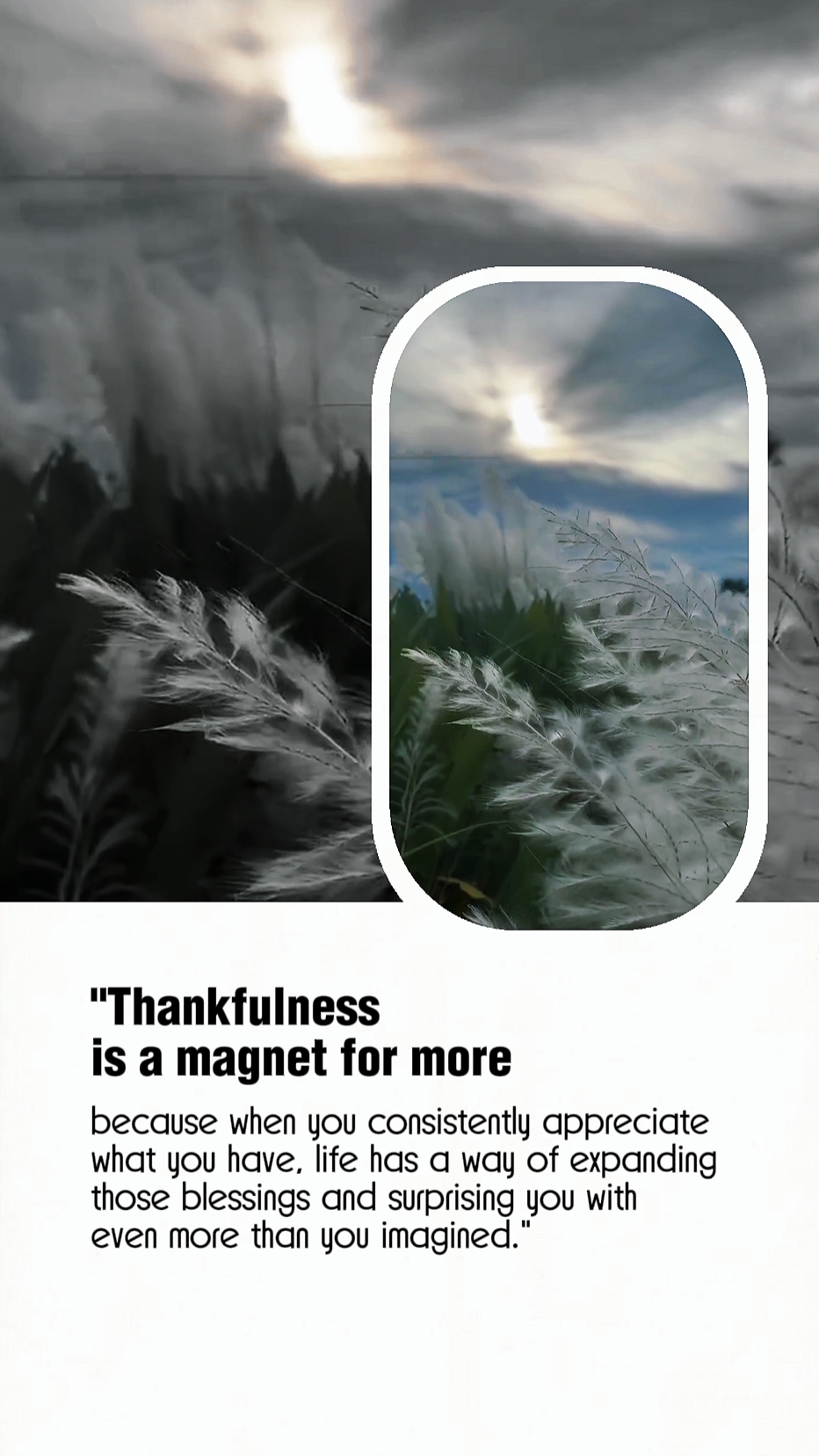 Thankfulness 
