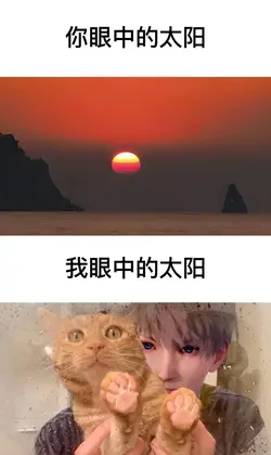 花太阳彩虹你