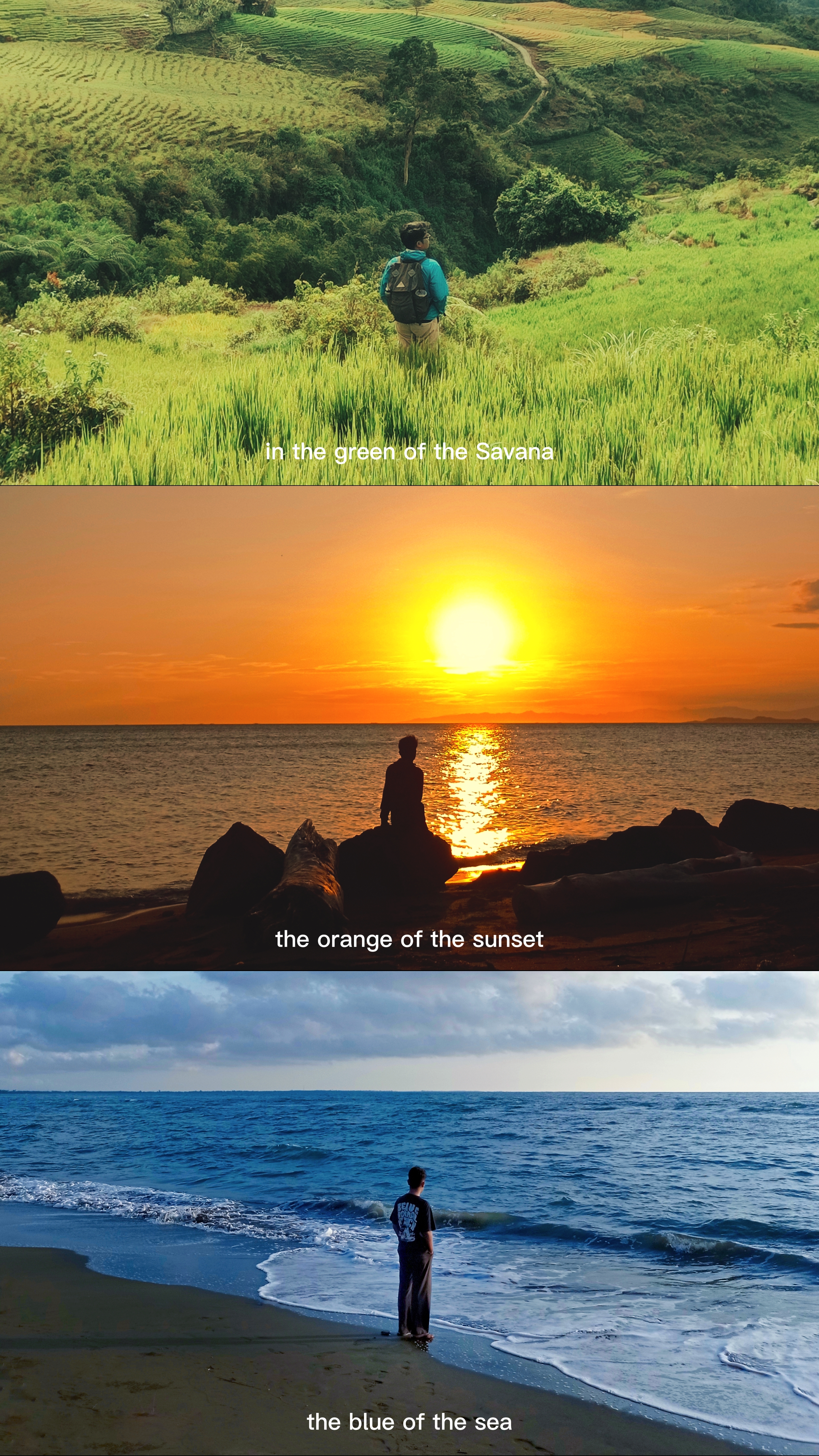 Savana sunset sea
