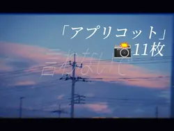 アプリコット