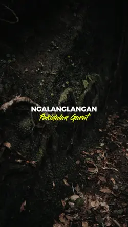 sancang 01