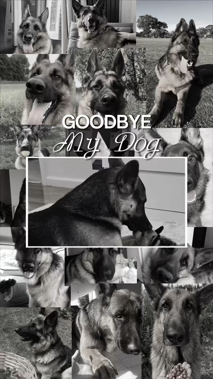 Au revoir, mon chien