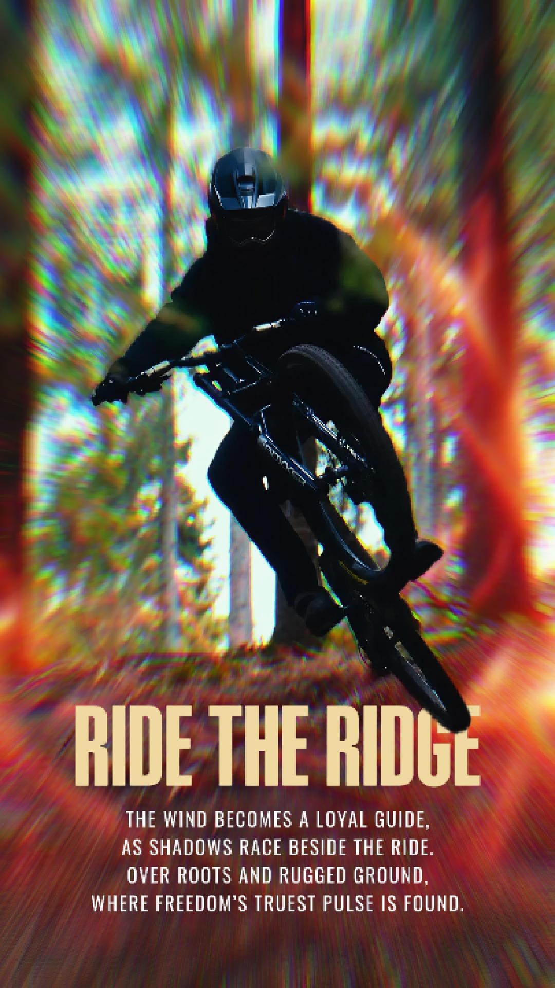 Bicicleta de montanha