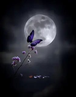 یکی برای مادر