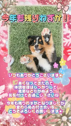 今年も残りわずか!フォロワー様へご挨拶