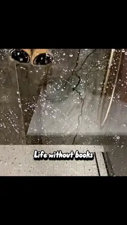 Sad Snail Meme