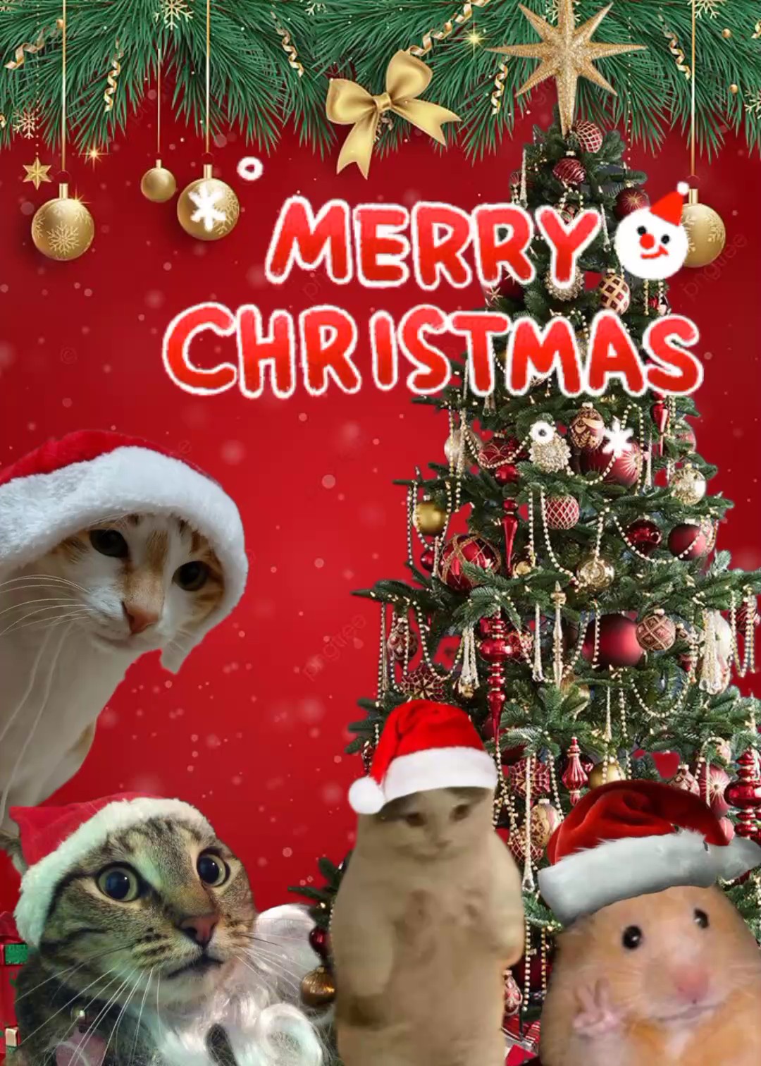 Maligayang Pasko