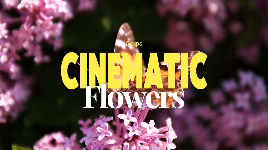 cinematic 6 clips