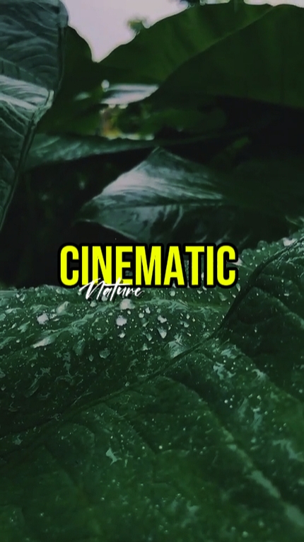 cinematic nature 