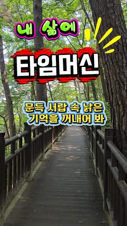 타임머신