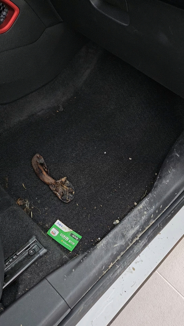 Coche