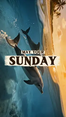 Hey You It’s Sunday 