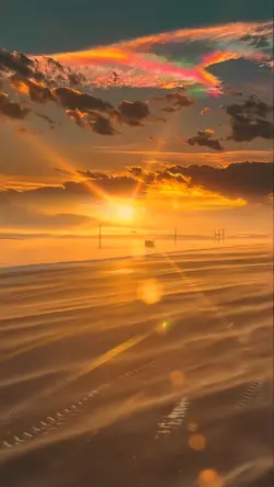 Sunny sonne slowmo ☀️