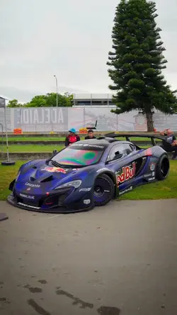 PRO CAR EDITS