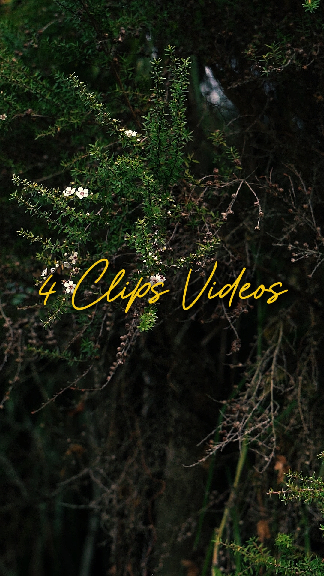 Sinematik 4 Videolar