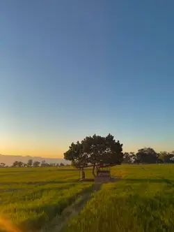 ไลฟ์โฟโต้