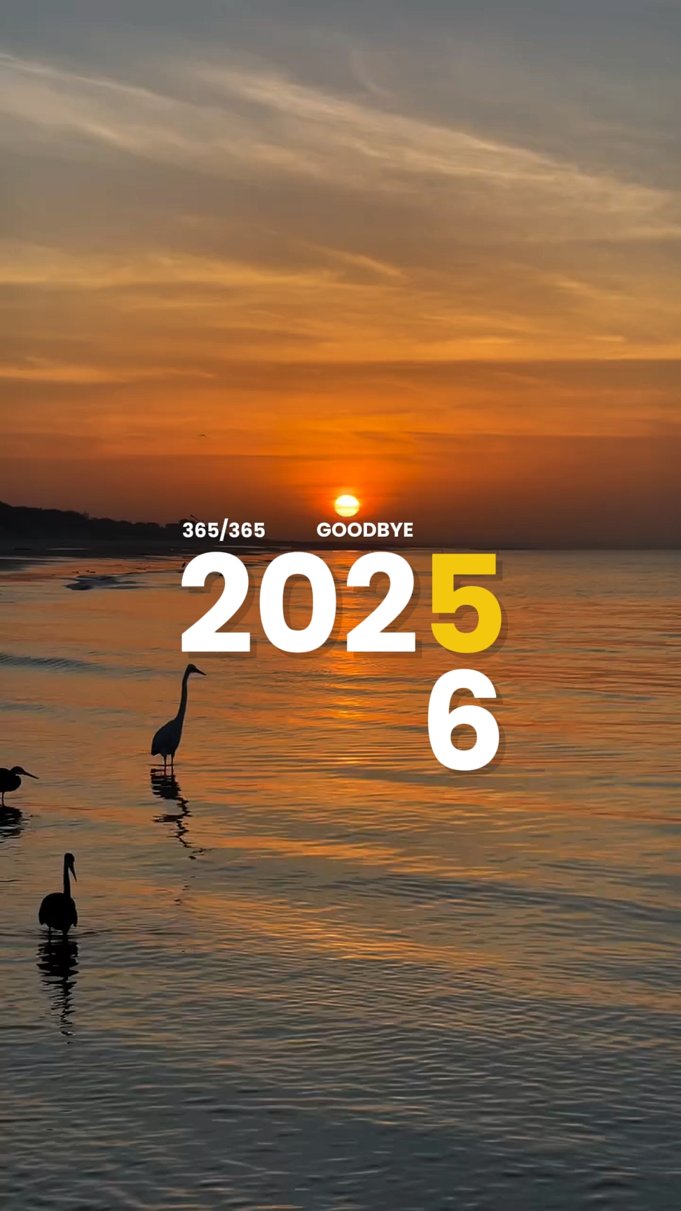 Bem-vindo 2026