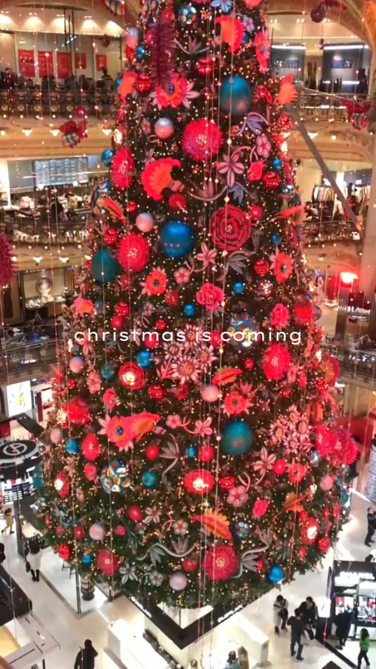 Natal