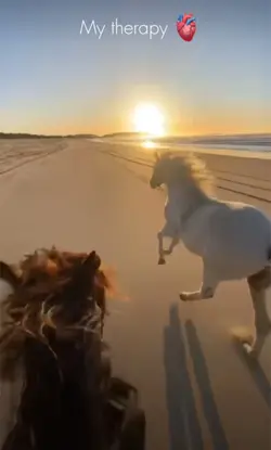 Horse therapy