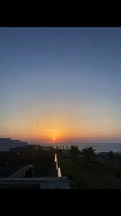 Holiday view