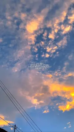 감성 영나
