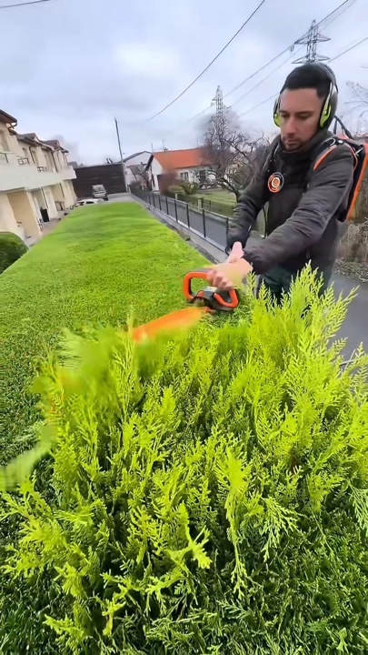Jardinería