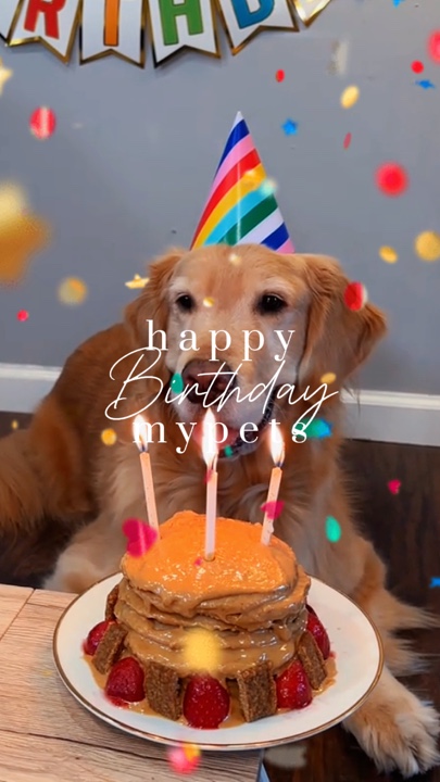 Mascotas de cumpleaños