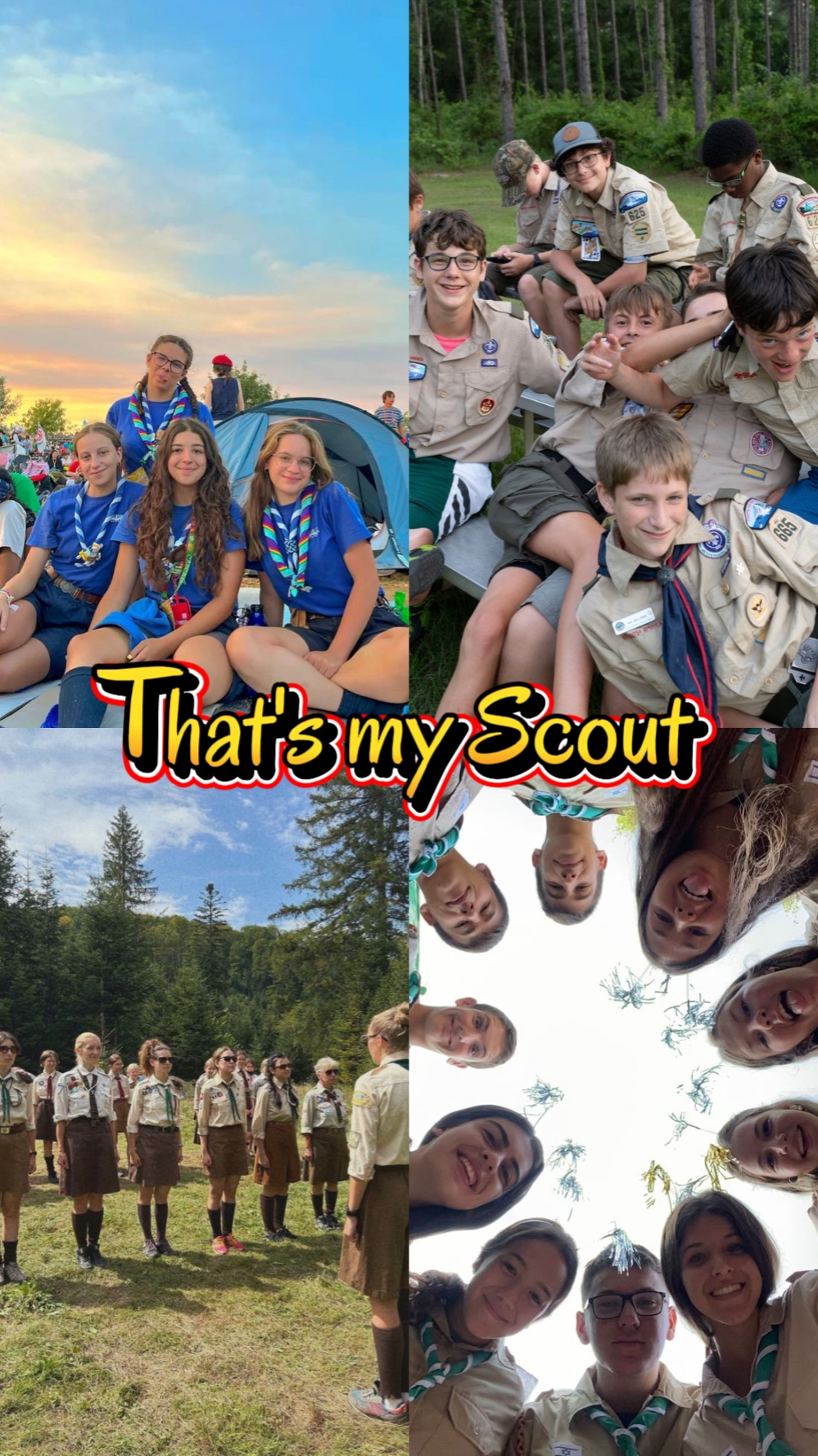 My Scout
