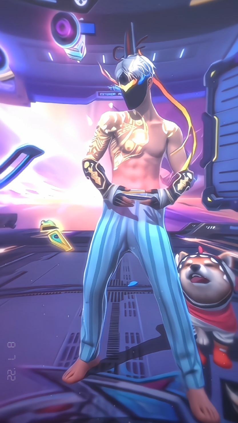 1วิดีโอ/8รูป