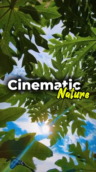 cinematic nature 