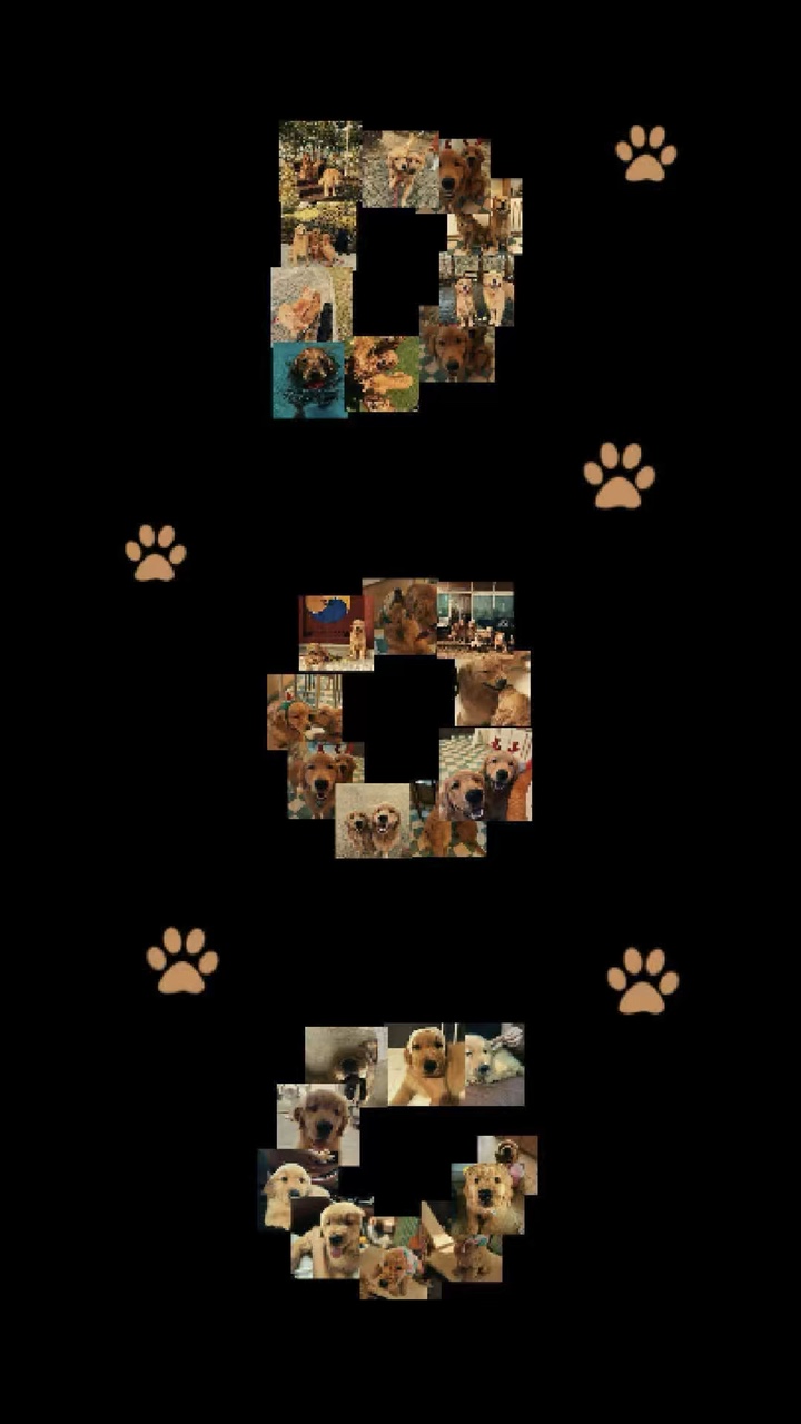 Plantillas de perros