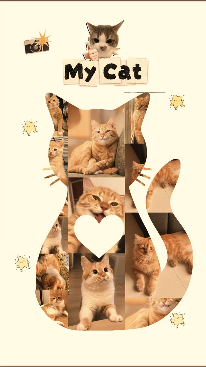 Mi Gato 
