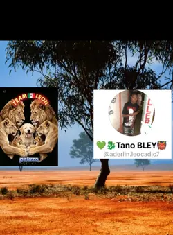 BATALLA DE TIKTOK 